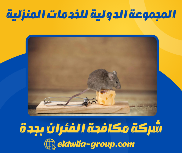 شركة مكافحة الفئران بجدة 0566915773 ابادة الفئران باحدث الوسائل الامنة