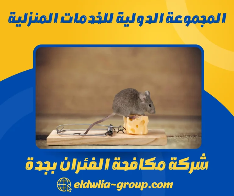 شركة مكافحة الفئران بجدة