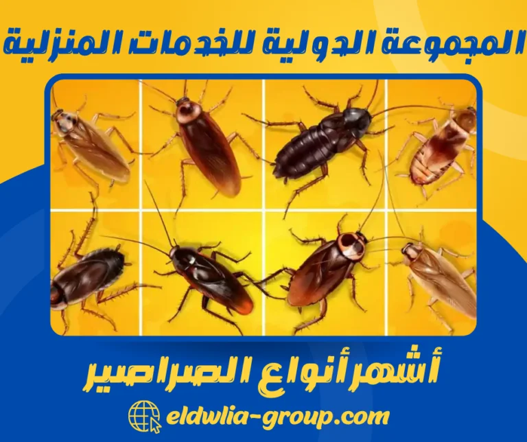 أشهر أنواع الصراصير