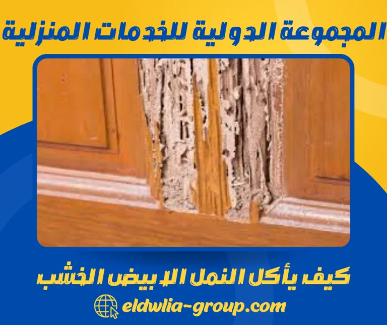 كيف يأكل النمل الابيض الخشب