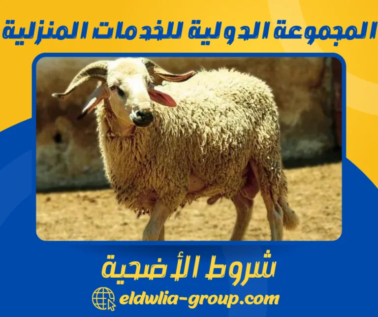 شروط الأضحية